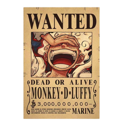 One Piece Wanted Posters