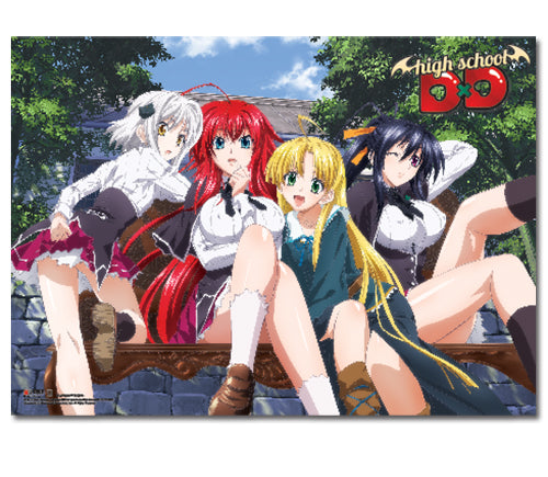 High School DxD Wall Scroll Group – Collection Affection