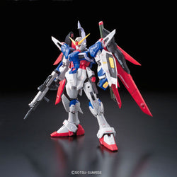 Gundam Model Kit Destiny Gundam RG 1/144 - Collection Affection