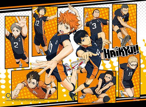 Haikyu!! Wall Scroll 